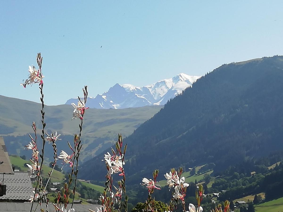 Chambres Et Tables D'Hotes Le Choton A Nono - Col Du Joly Beaufortain Hauteluce Eksteriør billede