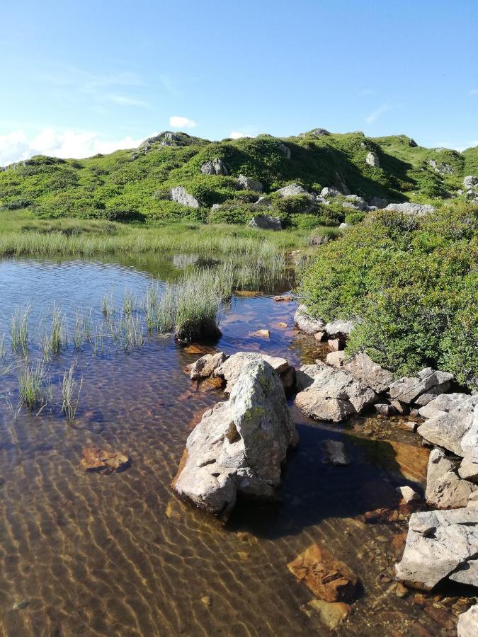 Chambres Et Tables D'Hotes Le Choton A Nono - Col Du Joly Beaufortain Hauteluce Eksteriør billede