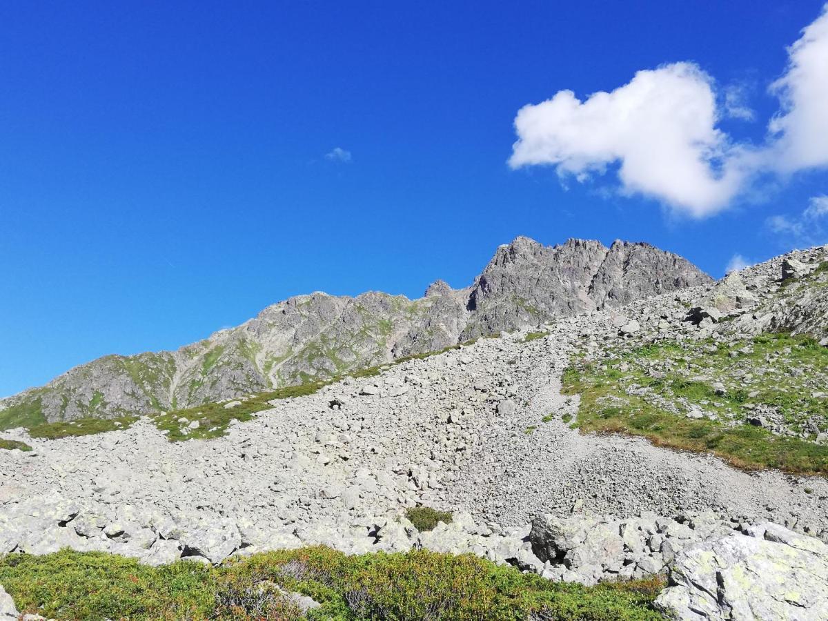 Chambres Et Tables D'Hotes Le Choton A Nono - Col Du Joly Beaufortain Hauteluce Eksteriør billede